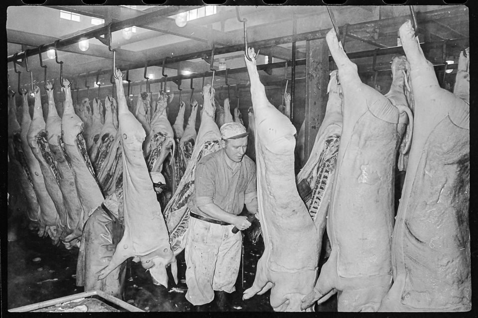2 Fleischerfacharbeiter beim Zerteilen von Schweinen, Mitte 1960er Jahre. SW-Foto © Kurt Schwarz. (Kurt Schwarz CC BY-NC-SA)