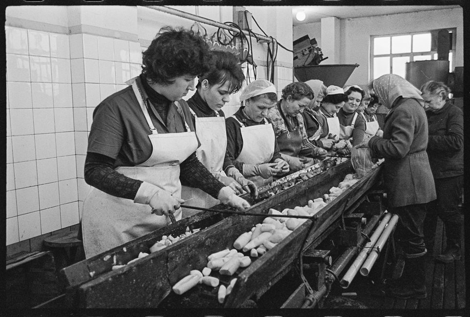 LPG "1. Mai" Berlin-Wartenberg, Bild 6: Eine Gruppe von Frauen beim Schneiden von Gemüse am Fließband. SW-Foto, Februar 1968 © Kurt Schwarz. (Kurt Schwarz CC BY-NC-SA)