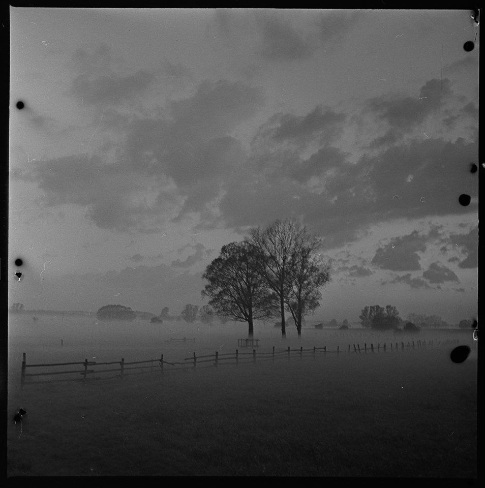 Landschaft im Nebel (Originaltitel des Fotografen). SW-Foto, wahrscheinlich 1960er Jahre © Kurt Schwarz. (Kurt Schwarz CC BY-NC-SA)
