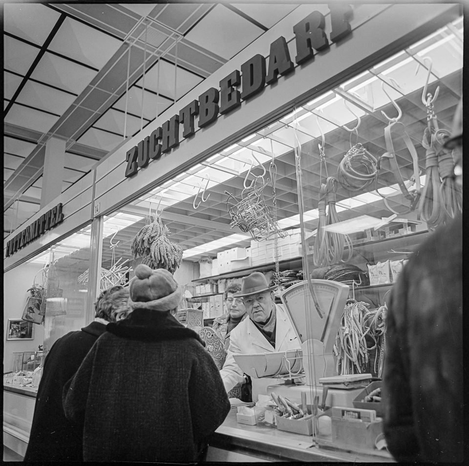 Marktstand für Futtermittel und Zuchtbedarf in der Markthalle am Alex, Januar 1969. SW-Foto © Kurt Schwarz. (Kurt Schwarz CC BY-NC-SA)