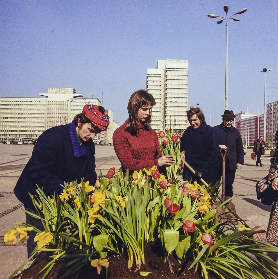 Blumendekoration auf dem Alexanderplatz. Farbfoto, 1970er Jahre © Kurt Schwarz. (Kurt Schwarz CC BY-NC-SA)