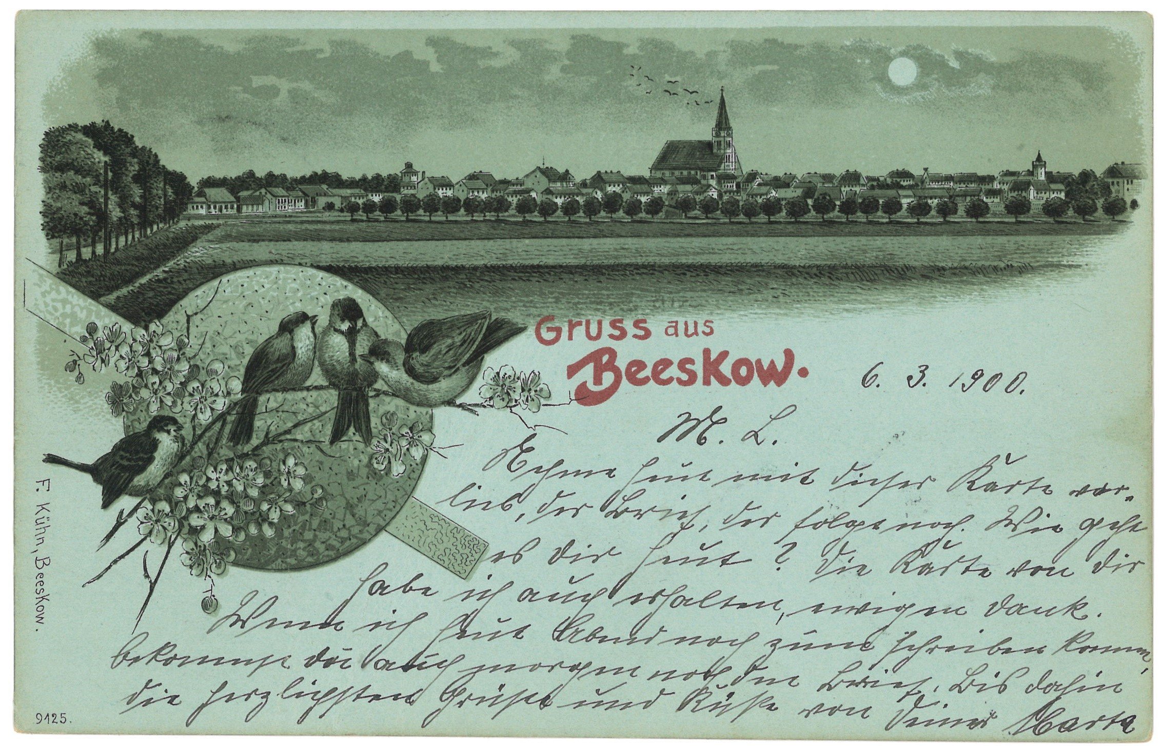 Beeskow: Stadtansicht von Nordwesten (Landesgeschichtliche Vereinigung für die Mark Brandenburg e.V., Archiv CC BY)