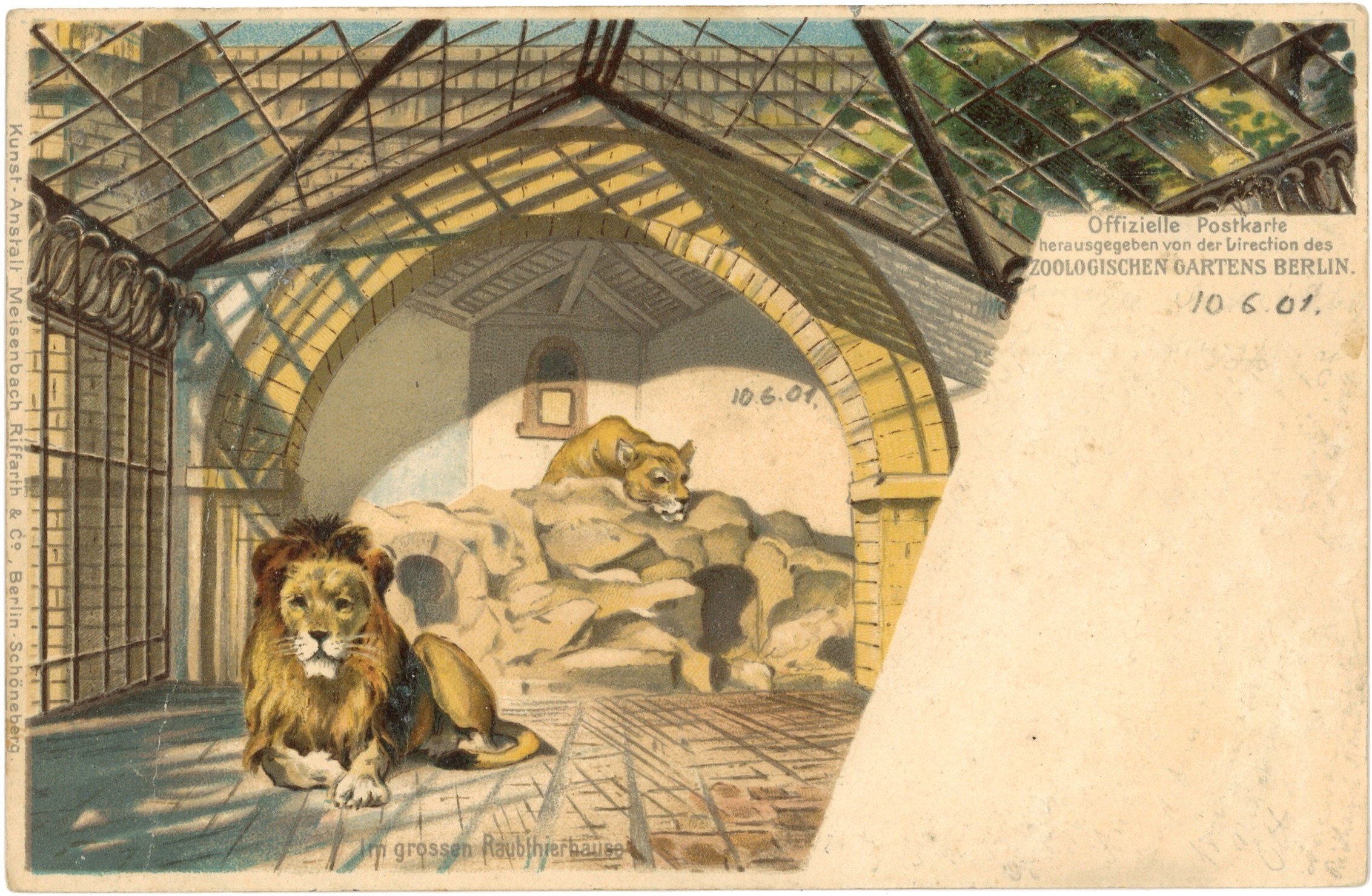 Berlin-Tiergarten: Große Raubtierhaus, Innenansicht eines Löwenkäfigs (Landesgeschichtliche Vereinigung für die Mark Brandenburg e.V. CC BY)