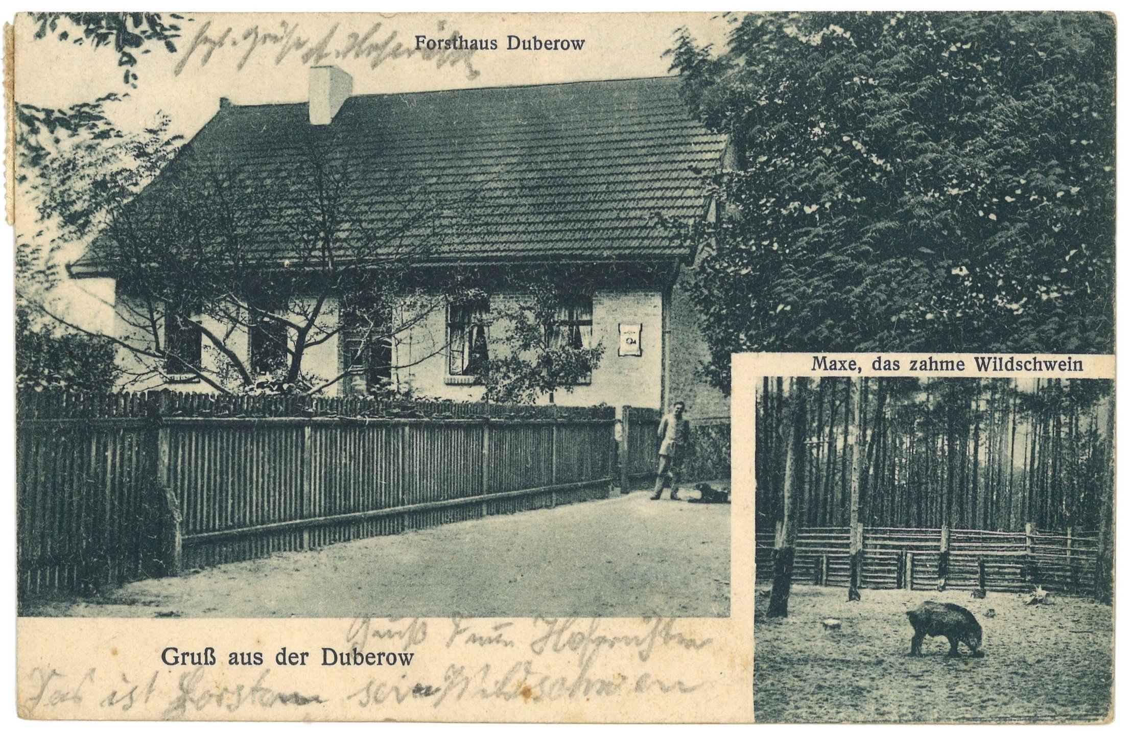 Dubrow (Gräbendorf): Forsthaus (Landesgeschichtliche Vereinigung für die Mark Brandenburg e.V. CC BY)