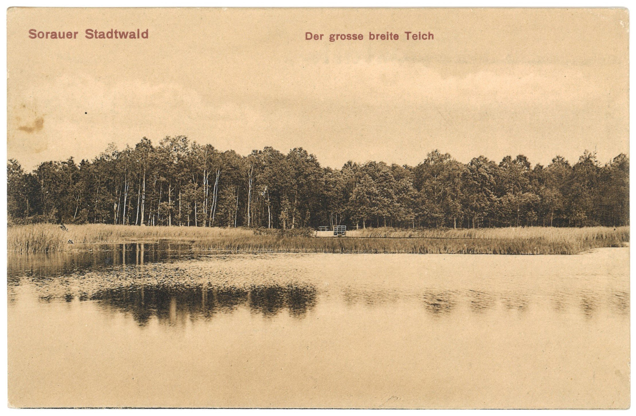 Sorau [Żary]: Teich im Stadtwald (Landesgeschichtliche Vereinigung für die Mark Brandenburg e.V. CC BY)