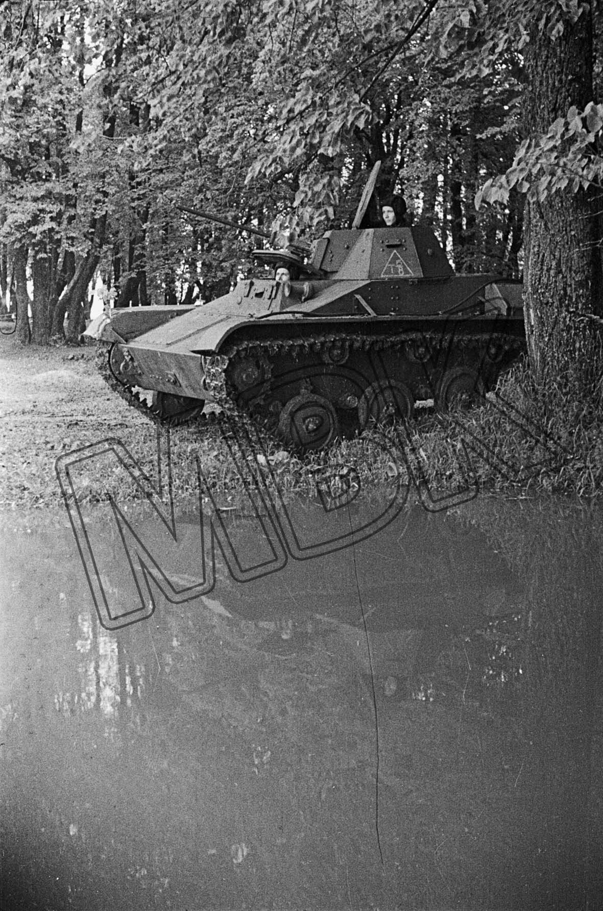 Fotografie: Leichter Panzer im Hinterhalt, Westfront, 19. Februar 1942 (Museum Berlin-Karlshorst RR-P)