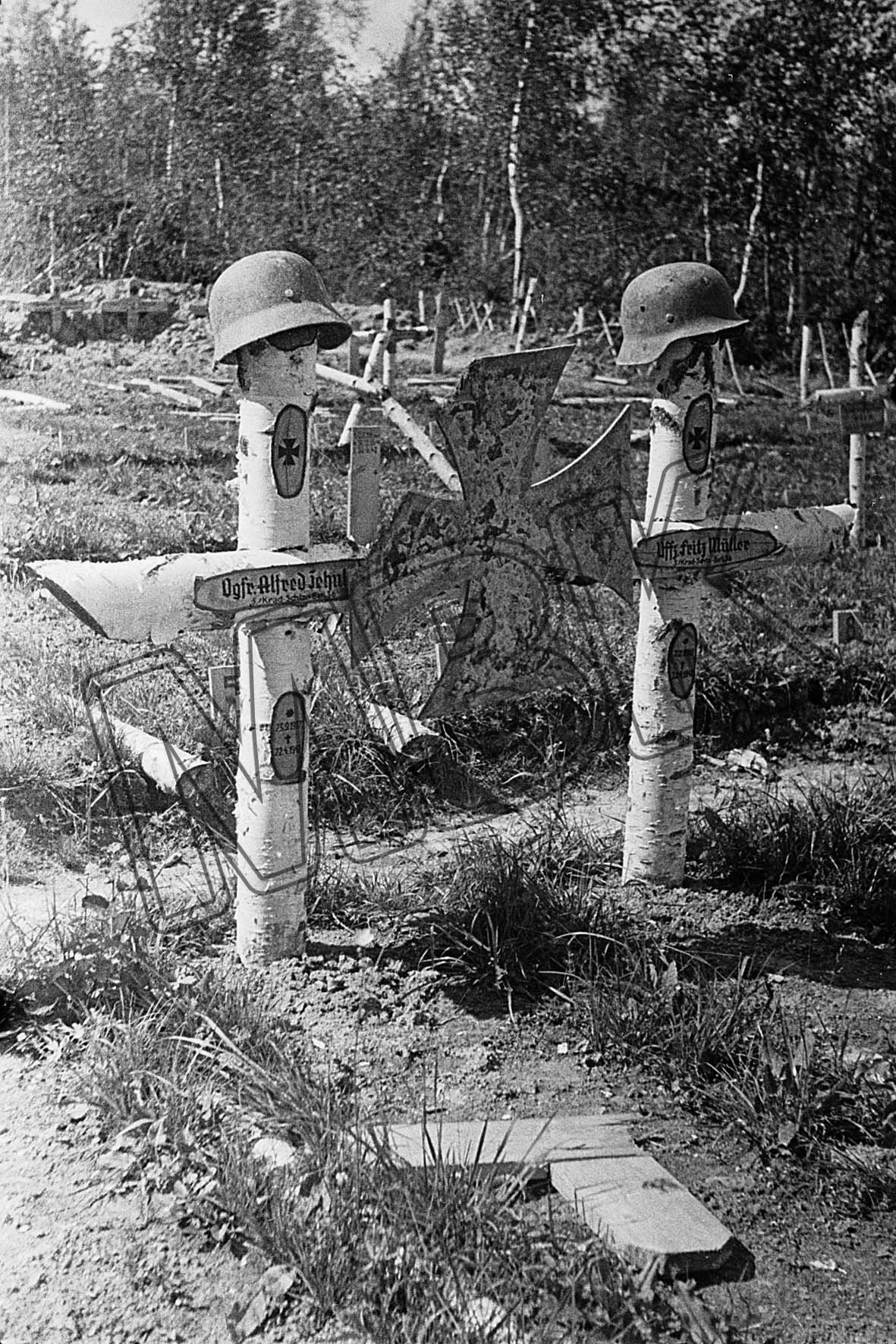 Fotografie: Deutscher Soldatenfriedhof, Gebiet Smolensk, August 1942 (Museum Berlin-Karlshorst RR-P)