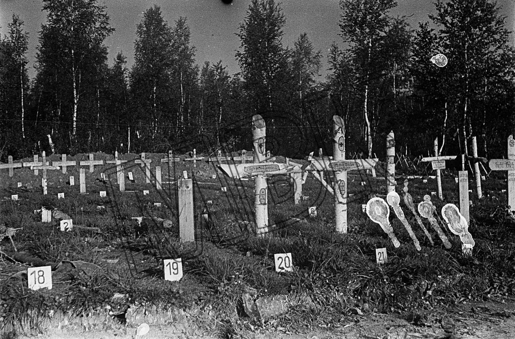 Fotografie: Deutscher Soldatenfriedhof, Gebiet Smolensk, August 1942 (Museum Berlin-Karlshorst RR-P)