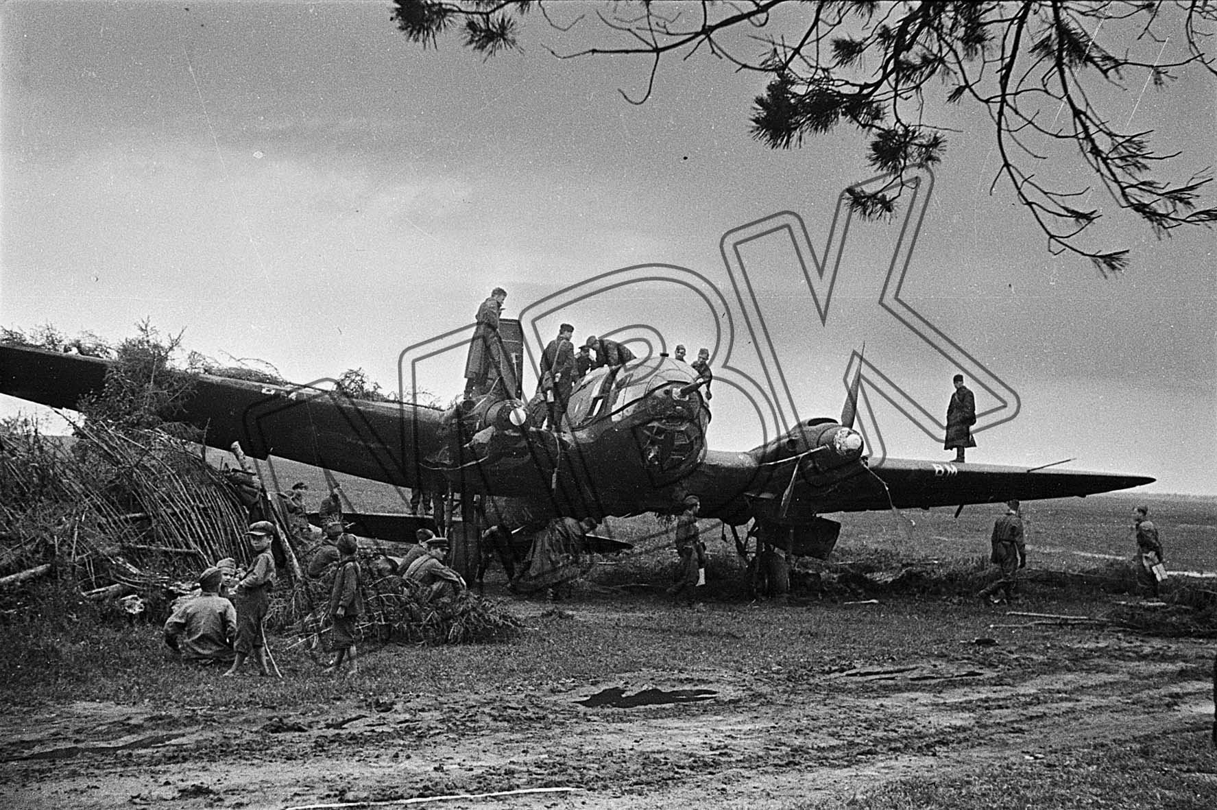 Fotografie: Notgelandete deutsche "Heinkel III", Gebiet Kursk, 26. Juni 1943 (Museum Berlin-Karlshorst RR-P)