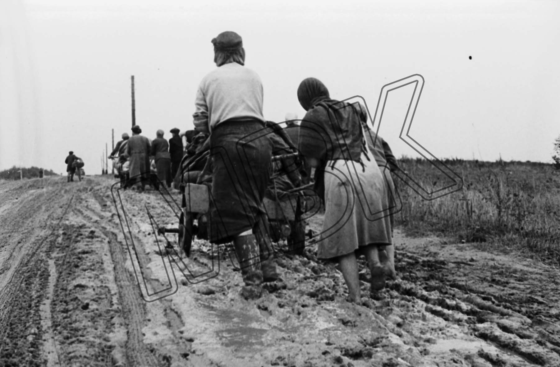 Fotografie: Zurückkehrende Flüchtlinge bei Smolensk, vermutlich September 1943 (Museum Berlin-Karlshorst RR-P)