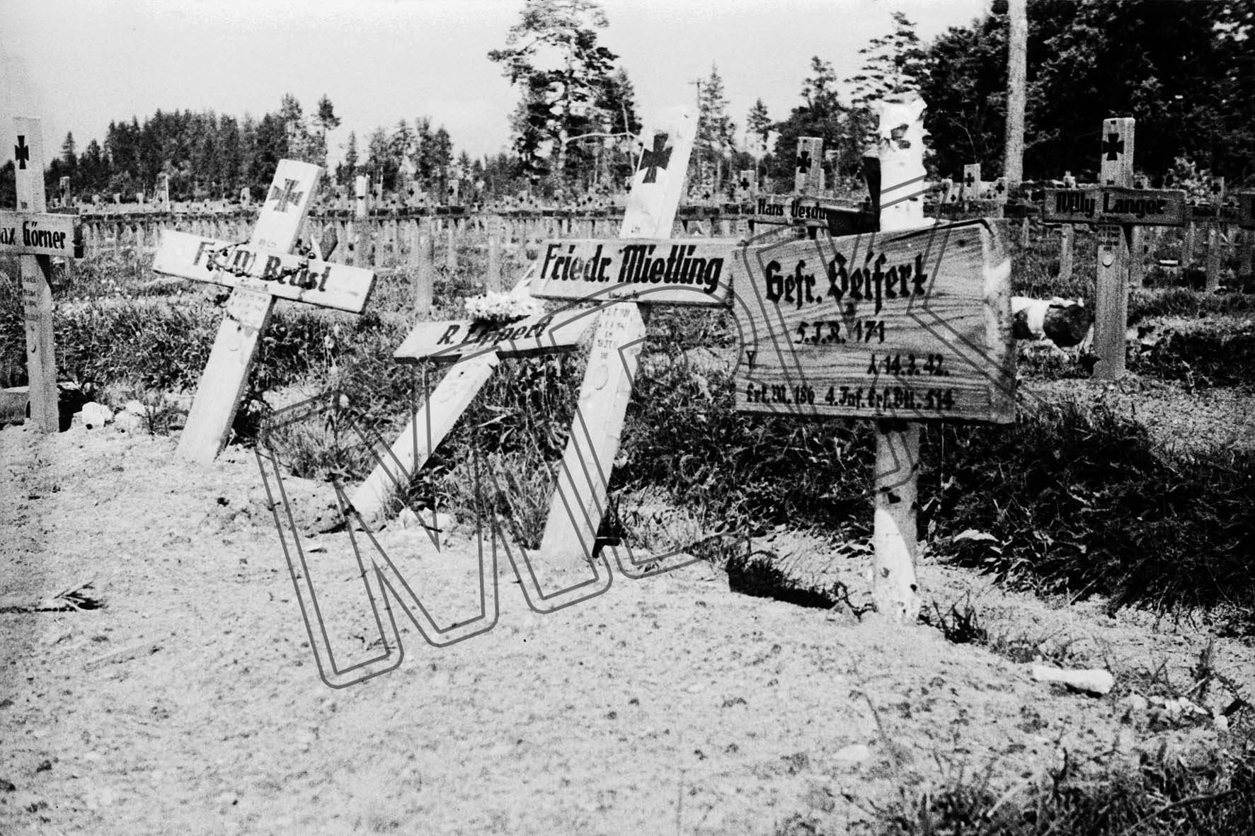 Fotografie: Deutscher Soldatenfriedhof im Dorf Jagodnaja, vermutlich Sommer 1943 (Museum Berlin-Karlshorst RR-P)