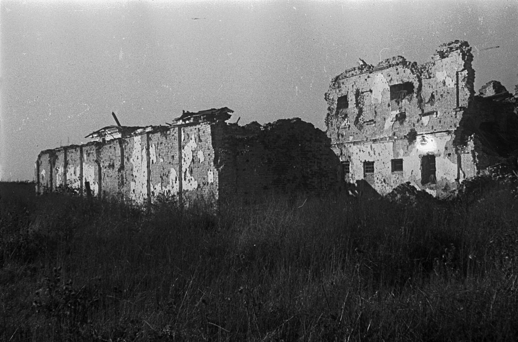 Fotografie: Welish nach der Befreiung, Gebiet Smolensk, Oktober 1943 (Museum Berlin-Karlshorst RR-P)