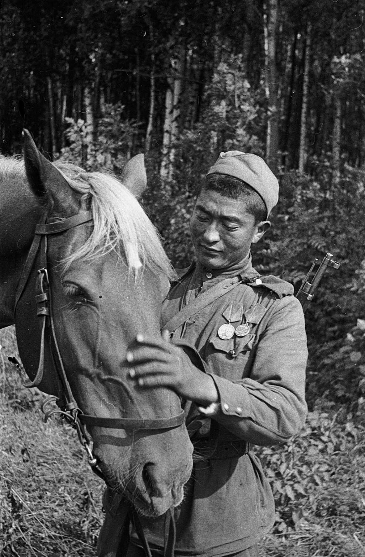 Rotarmist mit Medaillen für Tapferkeit und Gefechtsverdienste, 1. Baltische Front, 28. August 1944 (Deutsch-Russisches Museum Berlin-Karlshorst RR-P)