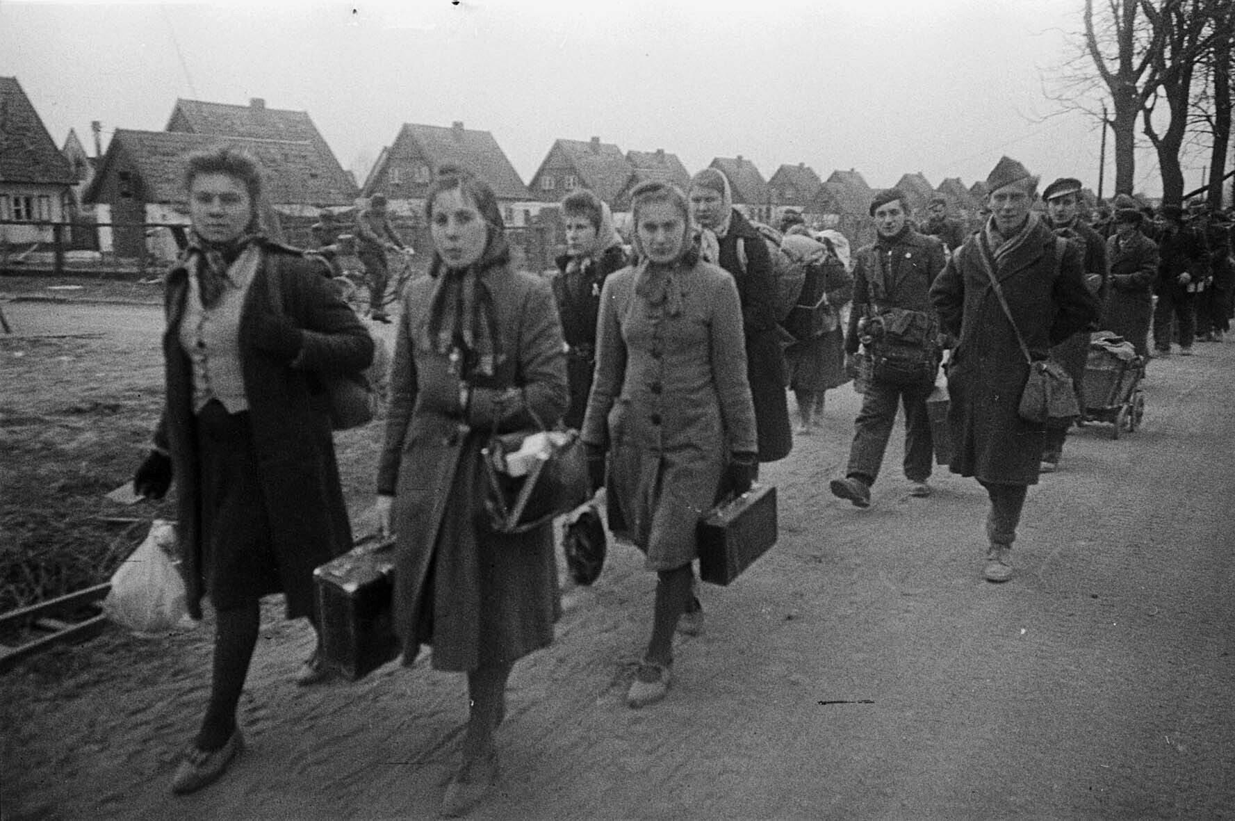 Fotografie: Kolonne von Zivilisten auf einer Landstraße entlang, Ostpreußen, April 1945 (Museum Berlin-Karlshorst RR-P)