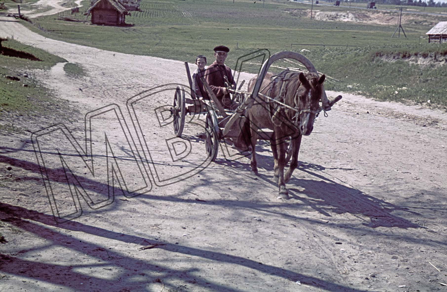 Fotografie: Einwohner mit einem Pferdefuhrwerk, Sloweni, 15. Juli 1941 (Museum Berlin-Karlshorst RR-P)