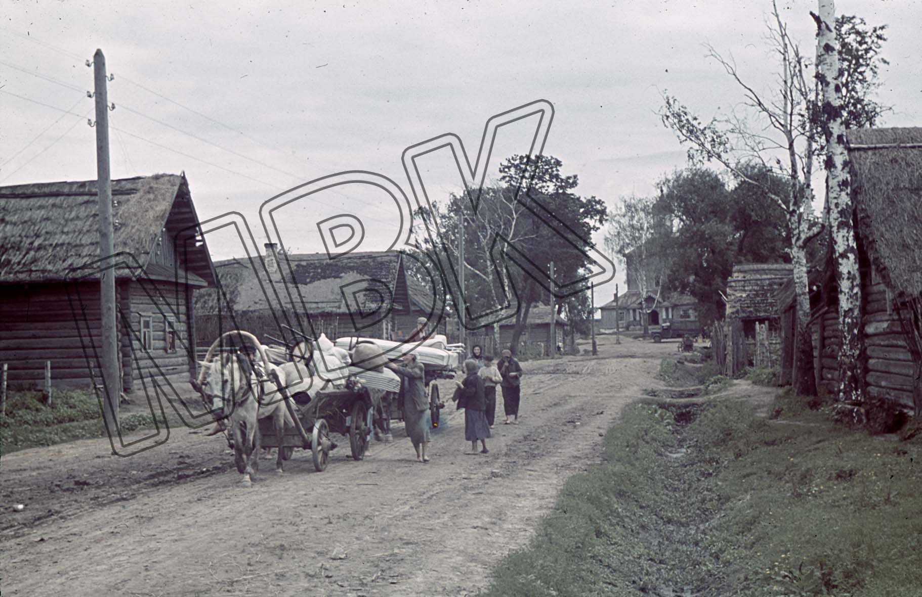 Fotografie: Einheimische von Tscherwiakowo verlassen ihr Dorf, August 1941 (Museum Berlin-Karlshorst RR-P)