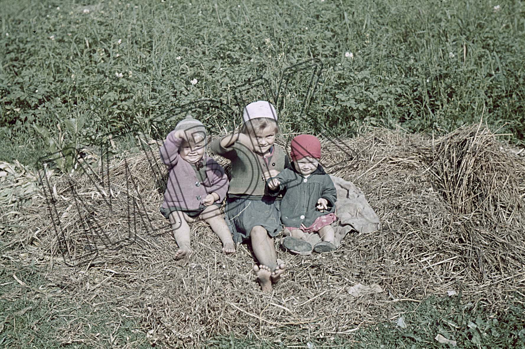 Fotografie: Porträt von drei kleinen Kindern, Orscha, August 1941 (Museum Berlin-Karlshorst RR-P)