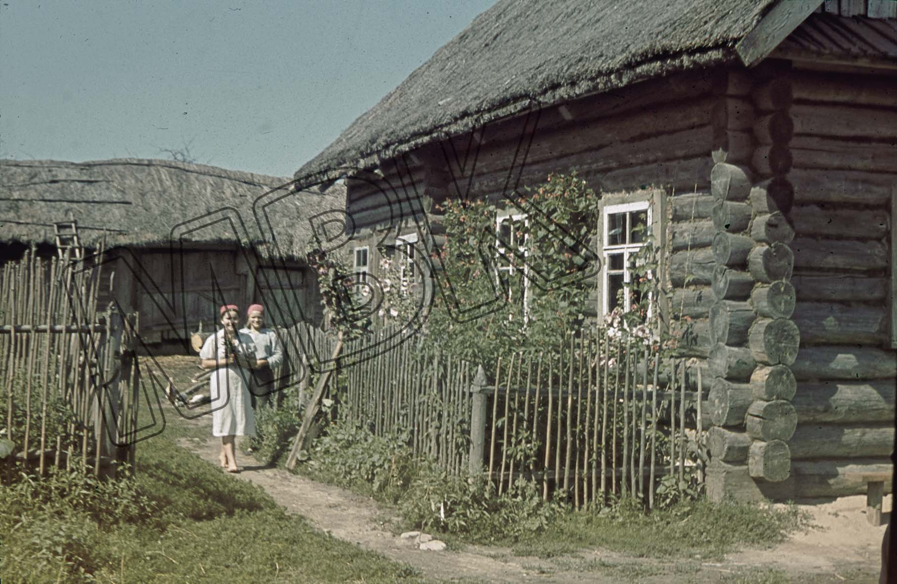 Fotografie: Frauen auf einem Bauernhof, bei Orscha, August 1941 (Museum Berlin-Karlshorst RR-P)