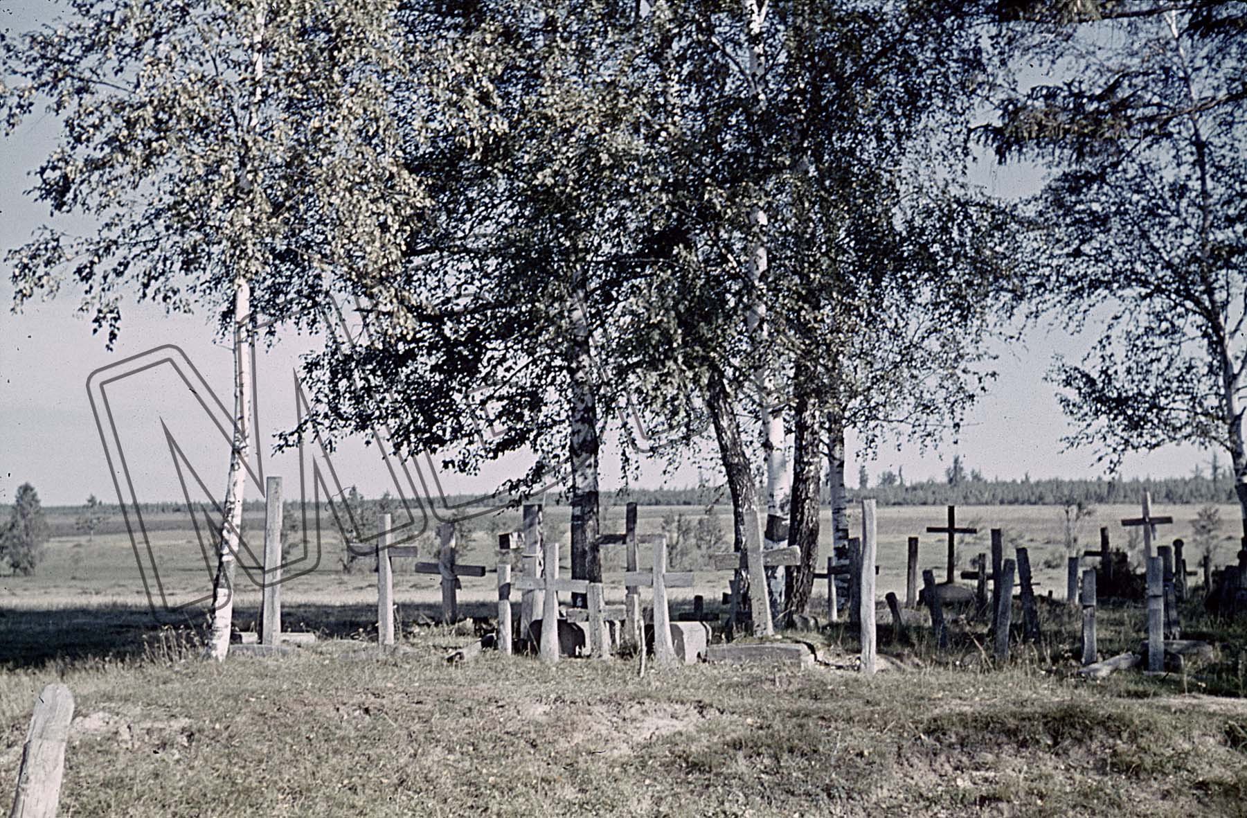 Fotografie: Friedhof im Dorf Gorki bei Orša, Belarus, September 1941 (Museum Berlin-Karlshorst RR-P)