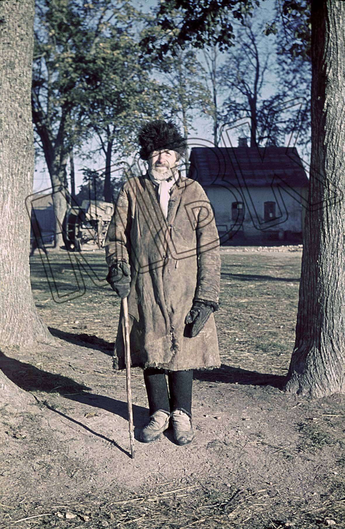 Fotografie: Porträt eines älteren Mannes, Gorki, September 1941 (Museum Berlin-Karlshorst RR-P)