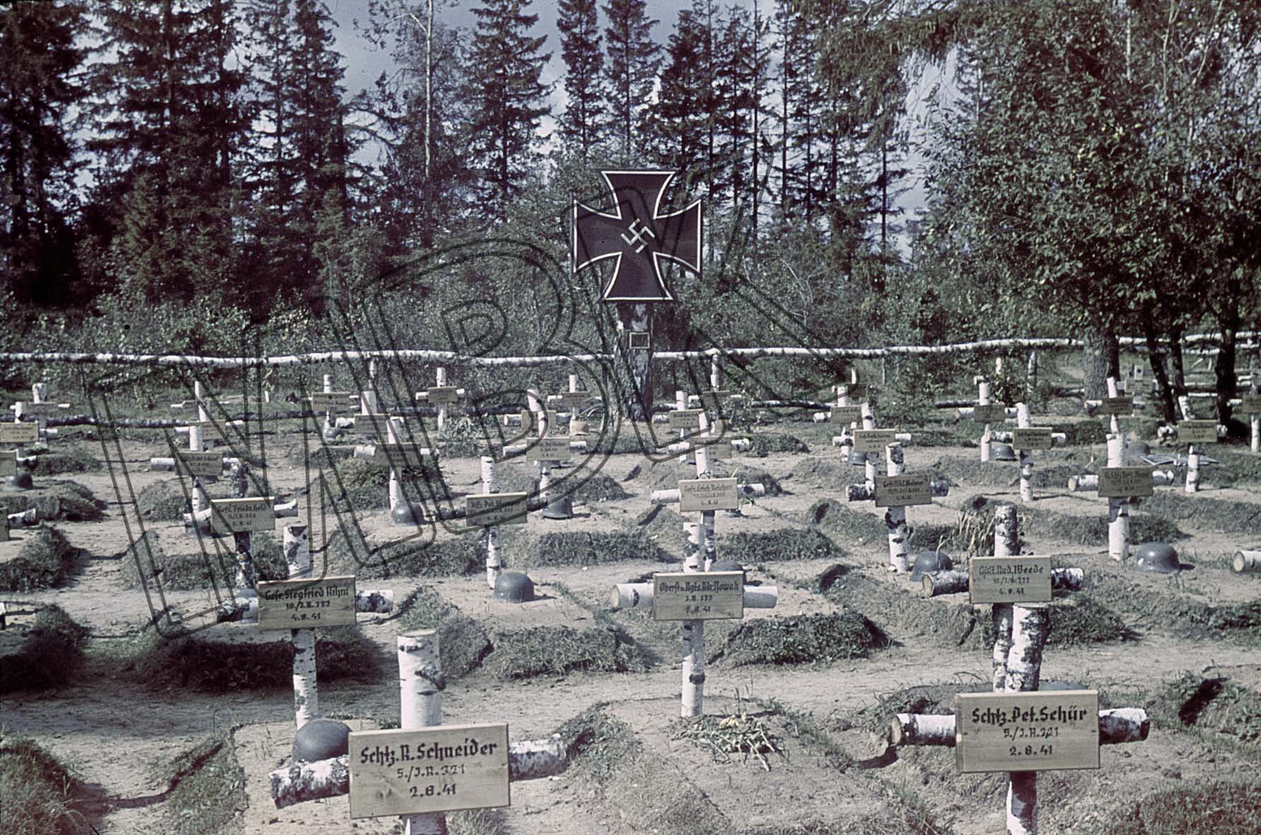 Fotografie: Deutscher Soldatenfriedhof bei Roslavl, September 1941 (Museum Berlin-Karlshorst RR-P)