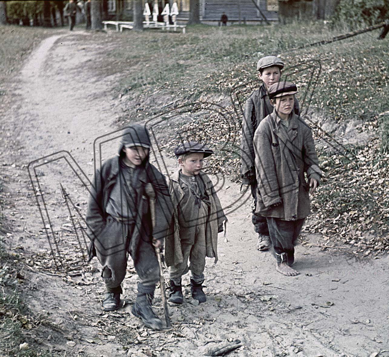 Fotografie: Russische Kinder bei Roslavl, 30. September 1941 (Museum Berlin-Karlshorst RR-P)