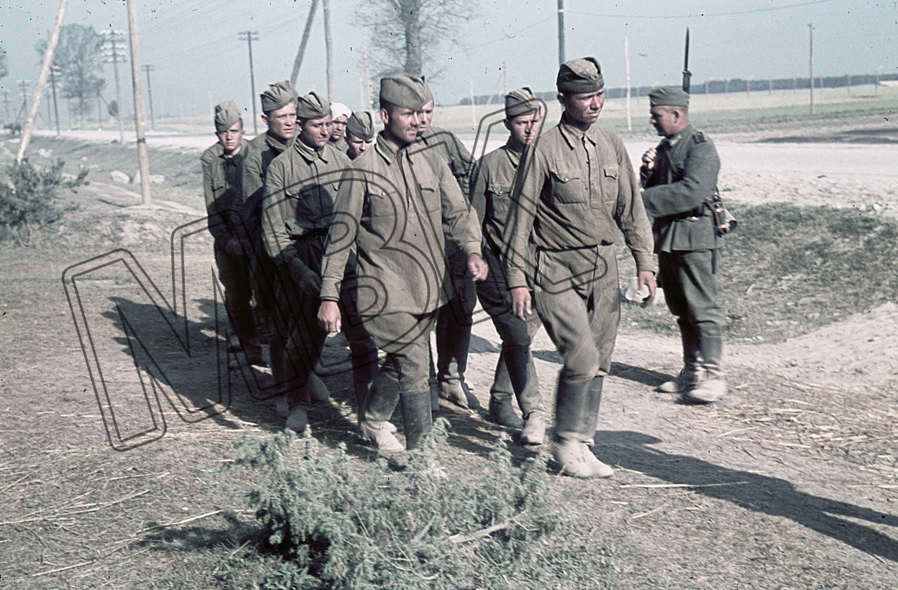 Sowjetische Kriegsgefangene bei Biala , Polen, 2. Juli 1942 (Museum Berlin-Karlshorst RR-P)