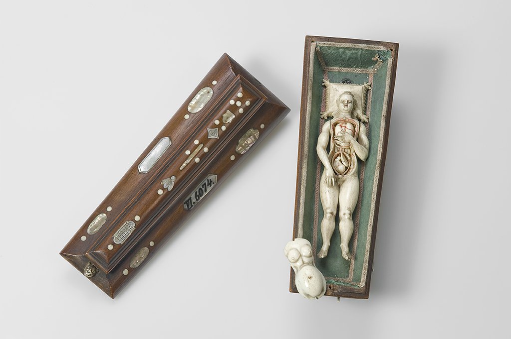 Anatomisches Modell einer Frau, zerlegbar (Berliner Medizinhistorisches Museum der Charité CC BY-NC-SA)