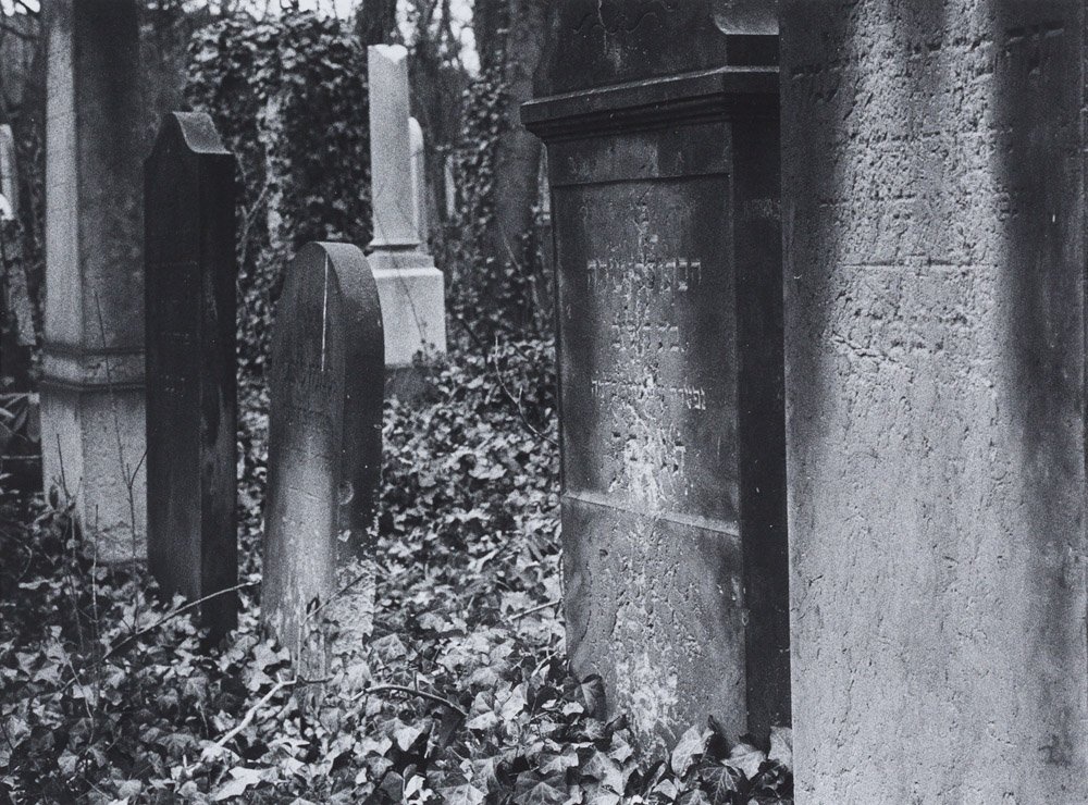 Efraim Habermann: Jüdischer Friedhof in Weißensee, Grabsteine mit Efeu (© Efraim Habermann RR-F)