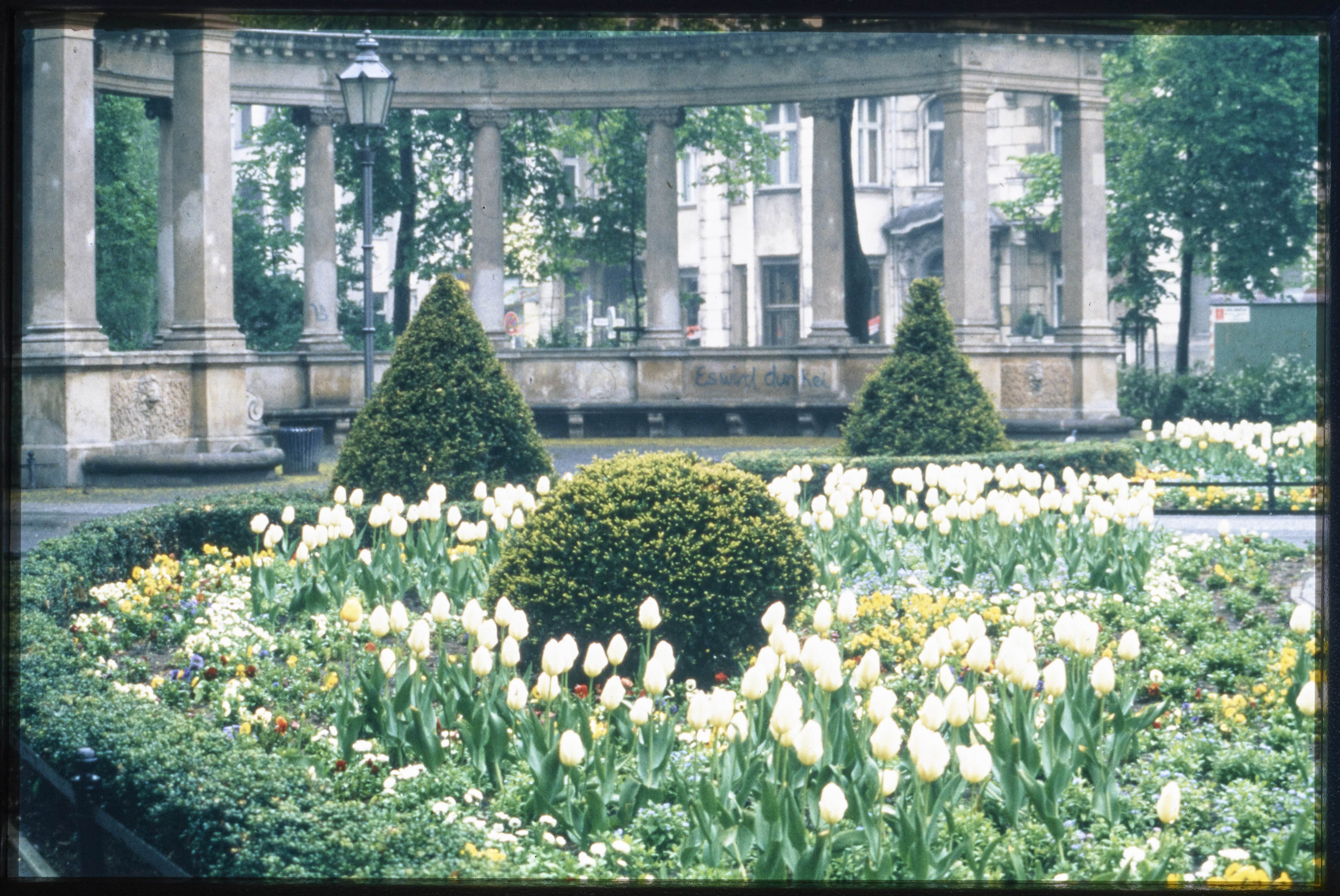 Blumenbeete im Heinrich-von-Kleist-Park (Museum Charlottenburg-Wilmersdorf in der Villa Oppenheim CC BY)