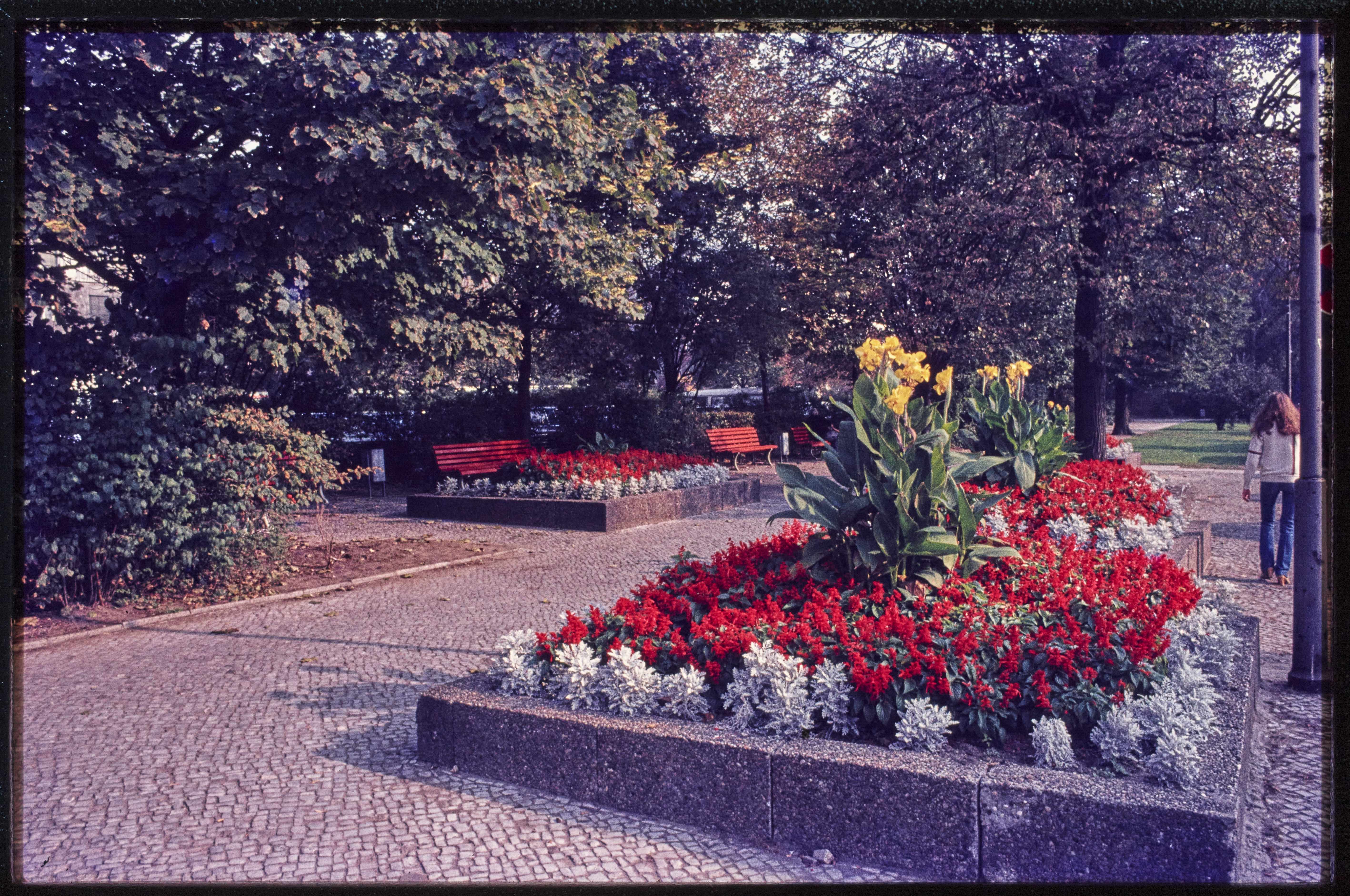 Blumenbeete in der Parkanlage des Olivaer Platzes (Museum Charlottenburg-Wilmersdorf in der Villa Oppenheim CC BY)
