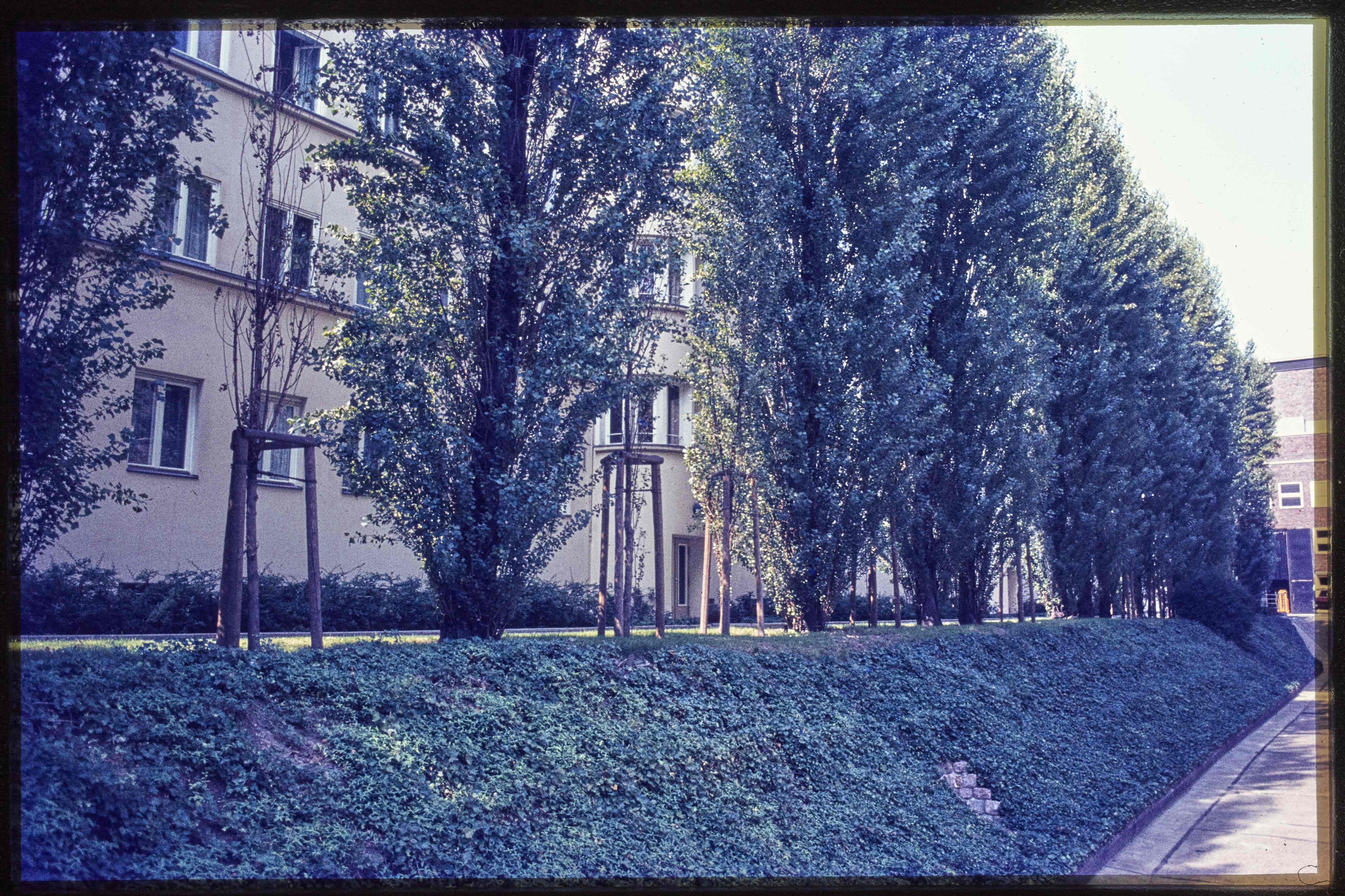 Junge Bäume vor Wohnhäusern (Museum Charlottenburg-Wilmersdorf in der Villa Oppenheim CC BY)