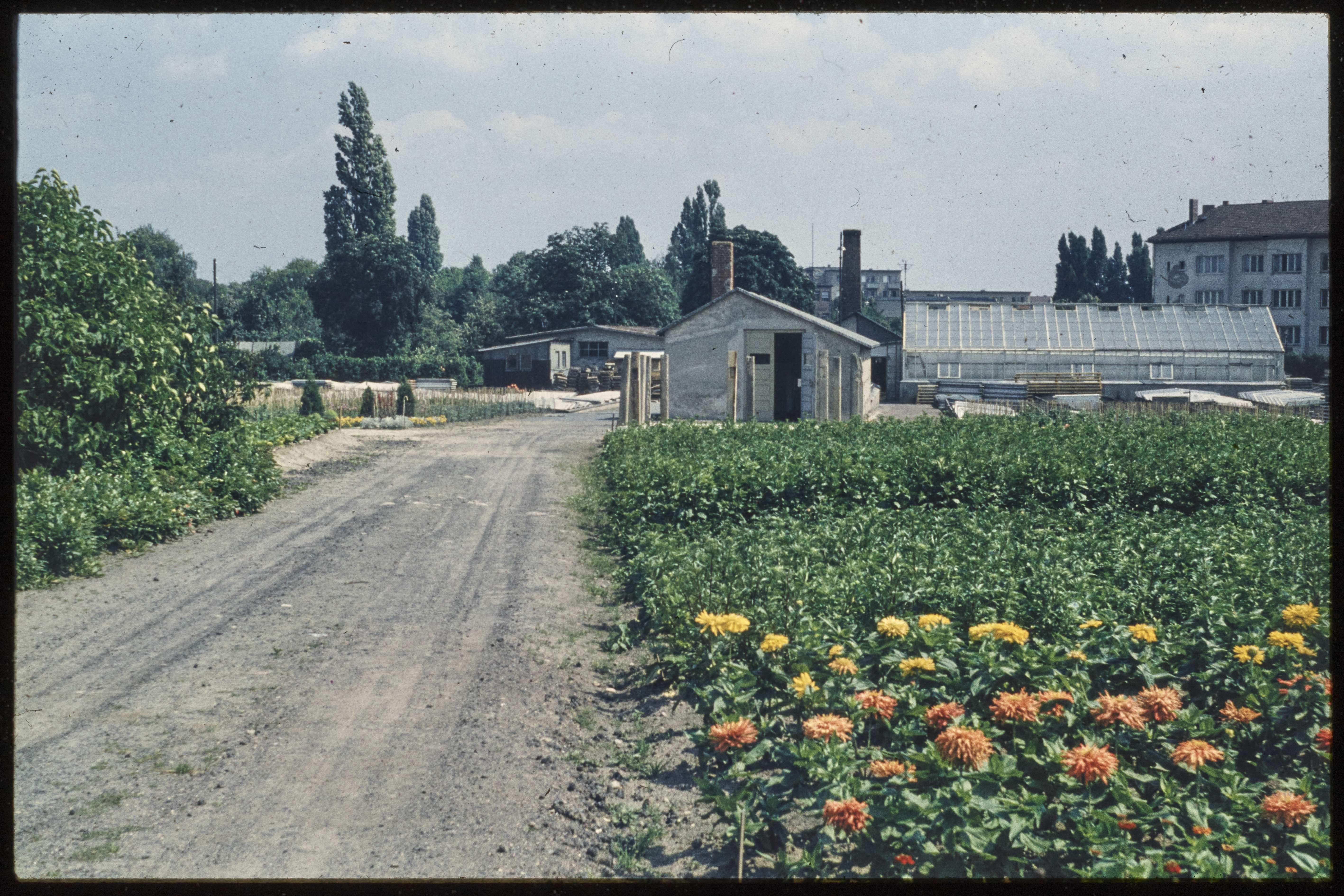 Blick auf Beete der Gartenarbeitsschule "Ilse Demme" (Museum Charlottenburg-Wilmersdorf in der Villa Oppenheim CC BY)