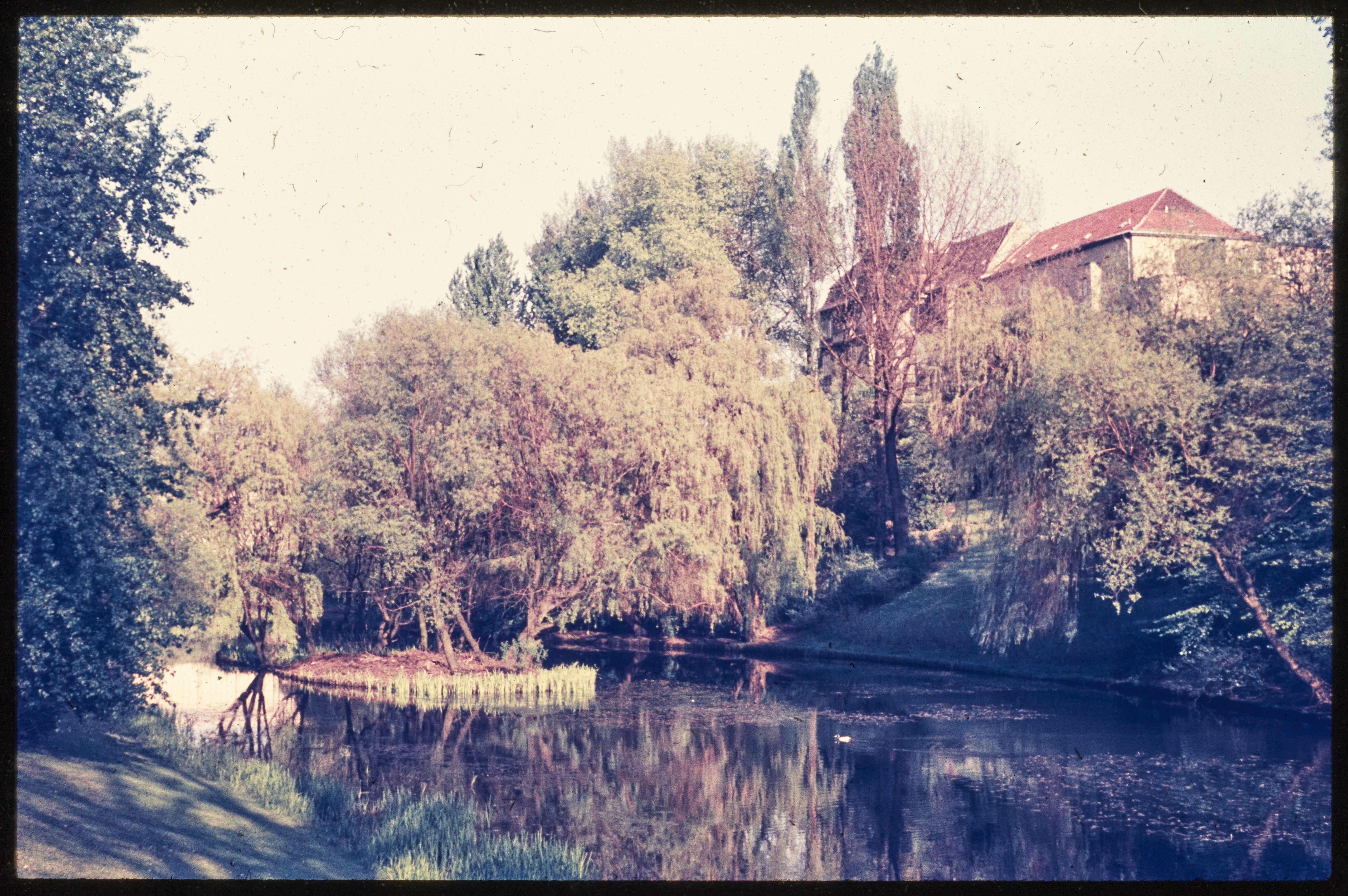 Blick auf den Fennsee im Volkspark Wilmersdorf (Museum Charlottenburg-Wilmersdorf in der Villa Oppenheim CC BY)