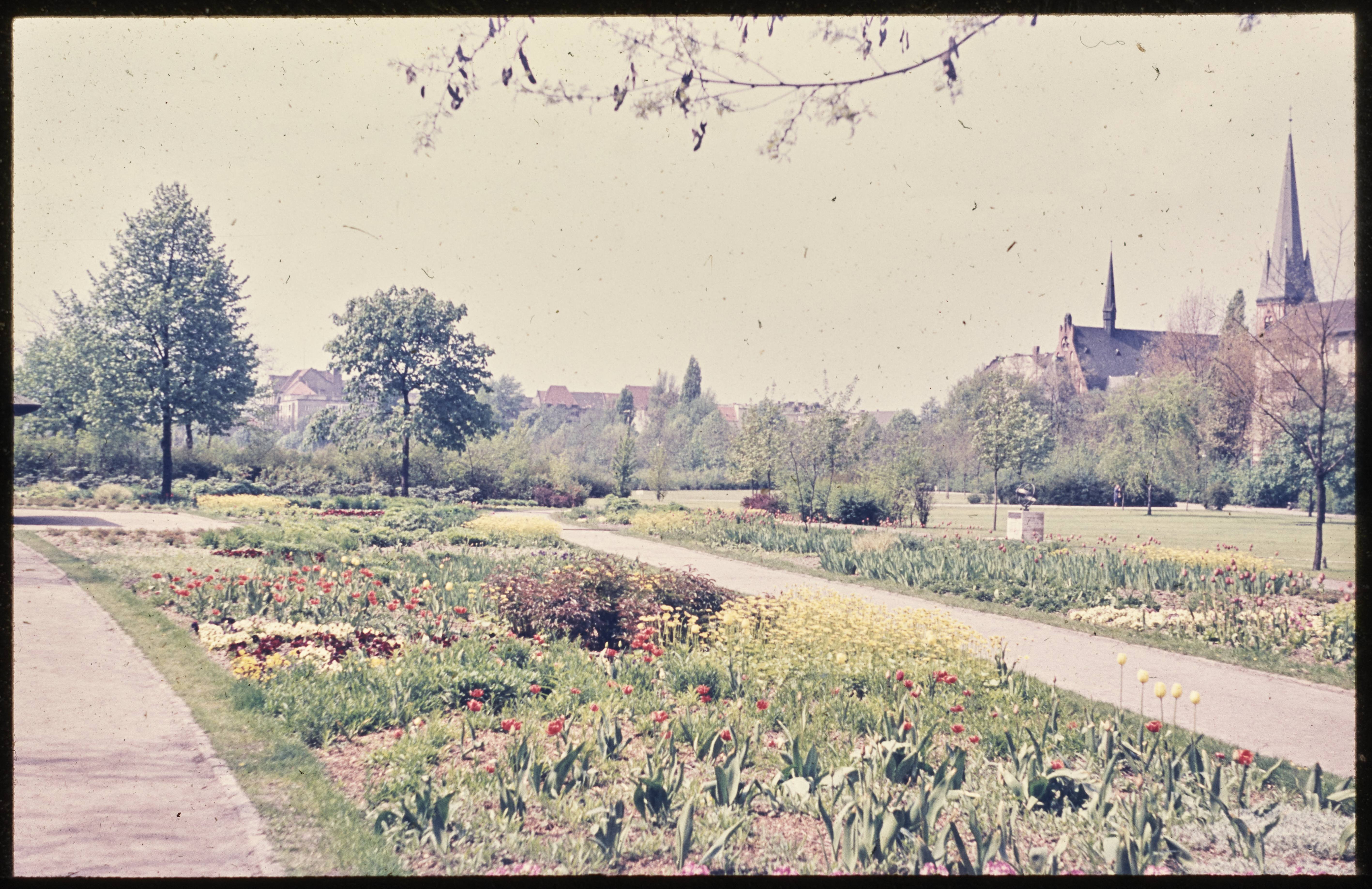 Blick in den Volkspark Wilmersdorf (Museum Charlottenburg-Wilmersdorf in der Villa Oppenheim CC BY)