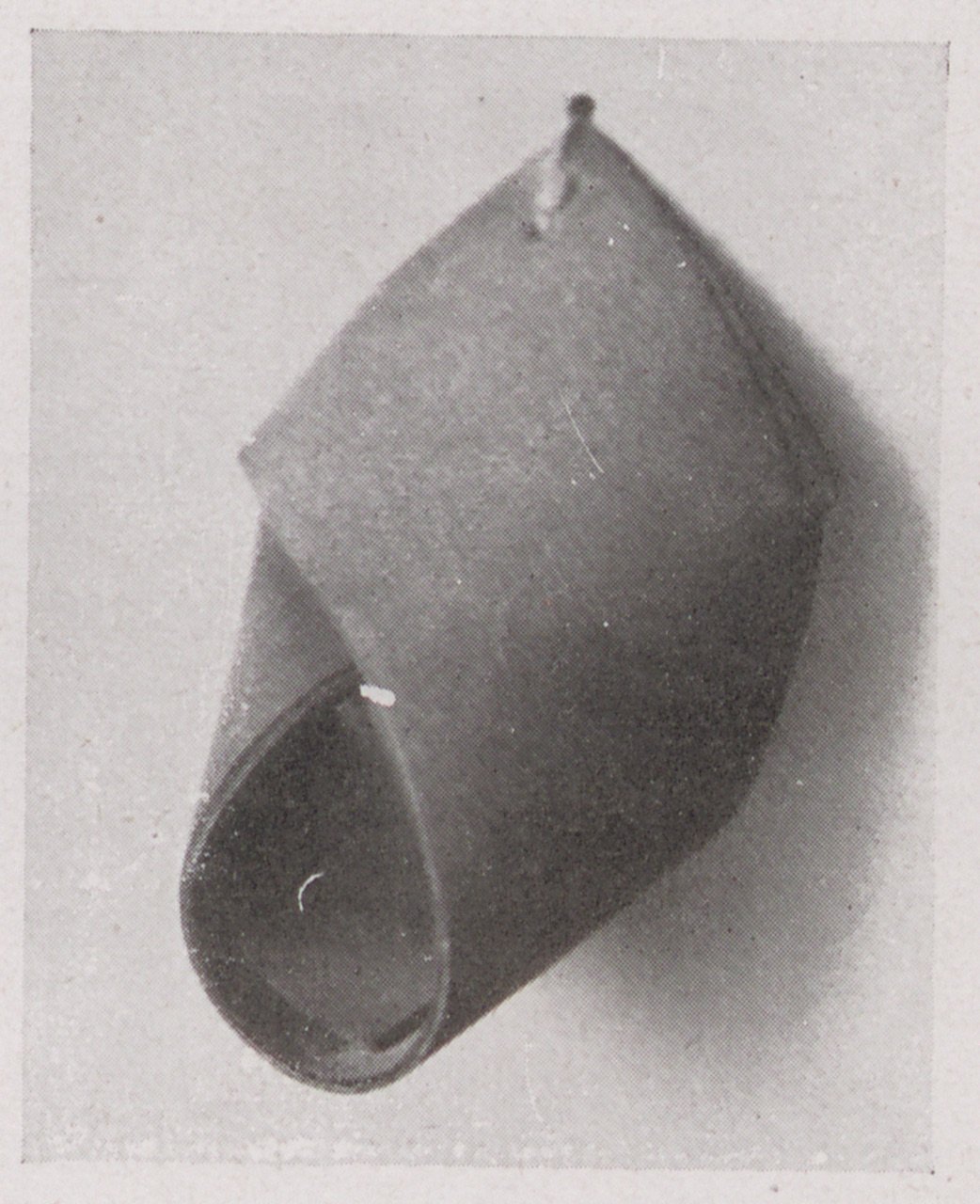 Fotografie eines sog. Eichelstulps (Magnus-Hirschfeld-Gesellschaft Public Domain Mark)