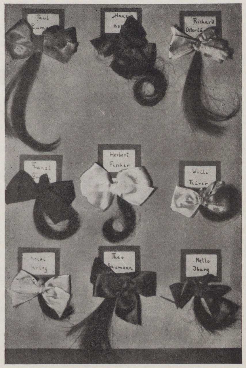 Abbildung einer Sammlung von Zöpfen (Magnus-Hirschfeld-Gesellschaft Public Domain Mark)