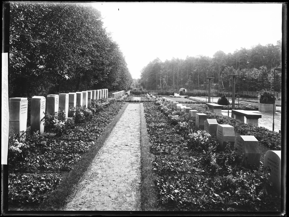 Nordwestlicher Seitenweg des Ehrenfriedhofs (Potsdam Museum - Forum für Kunst und Geschichte CC BY-NC-SA)