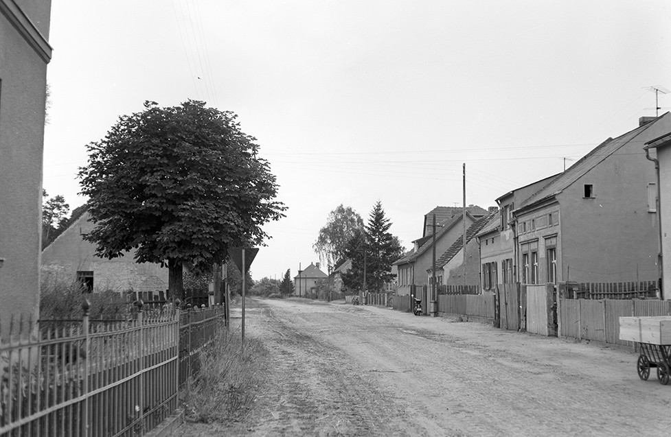 Damsdorf, Ortsansicht 3 (Heimatverein "Alter Krug" Zossen e.V. CC BY-NC-SA)