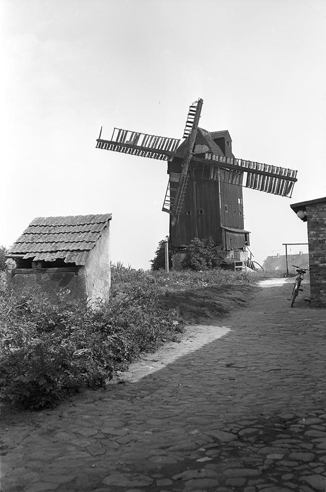 Druxberge, Windmühle (Heimatverein "Alter Krug" Zossen e.V. CC BY-NC-SA)