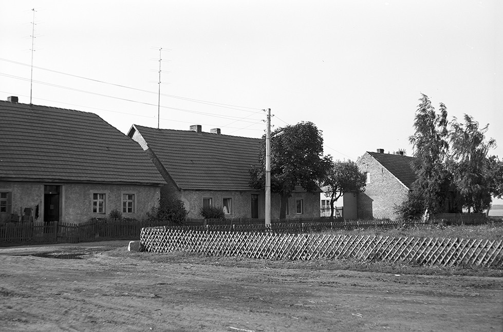 Hohenahlsdorf, Ortsansicht 2 (Heimatverein "Alter Krug" Zossen e.V. CC BY-NC-SA)