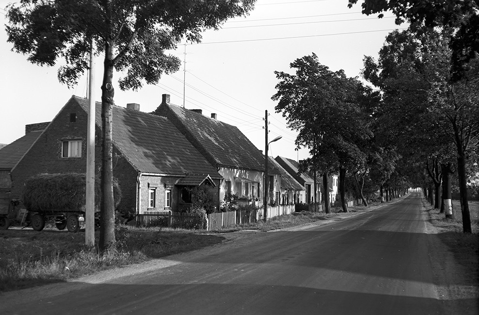 Hohenahlsdorf, Ortsansicht 6 (Heimatverein "Alter Krug" Zossen e.V. CC BY-NC-SA)