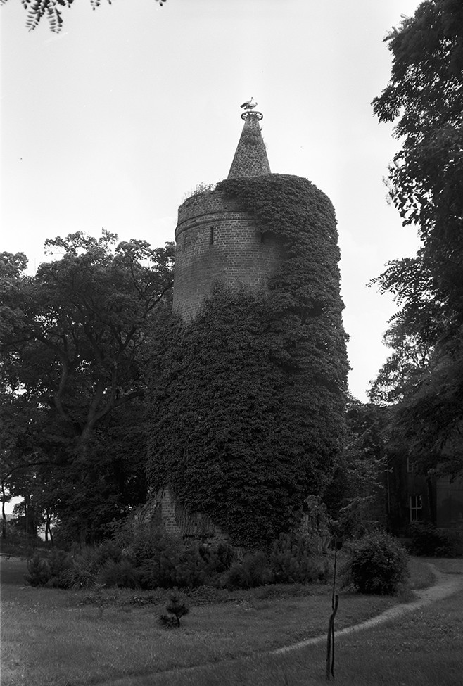 Ziesar, Burg Ziesar 2 (Heimatverein "Alter Krug" Zossen e.V. CC BY-NC-SA)