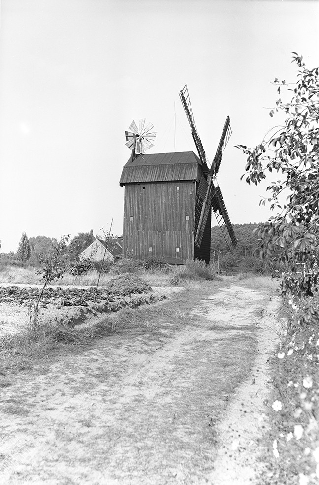 Langerwisch, Windmühle – Paltrock-Mühle (Heimatverein "Alter Krug" Zossen e.V. CC BY-NC-SA)