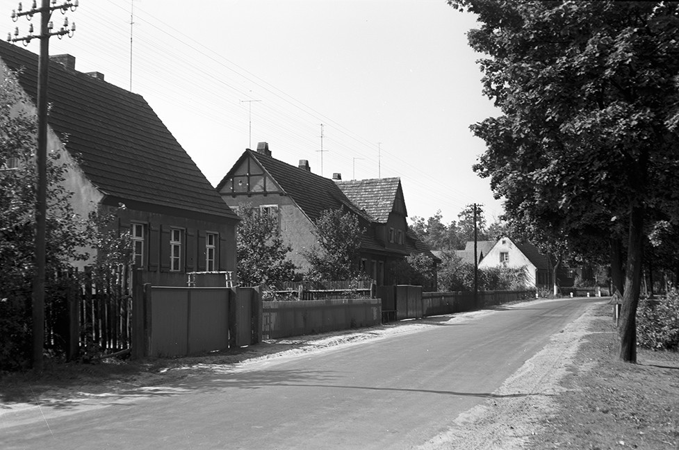 Stülpe, Ortsansicht 1 (Heimatverein "Alter Krug" Zossen e.V. CC BY-NC-SA)