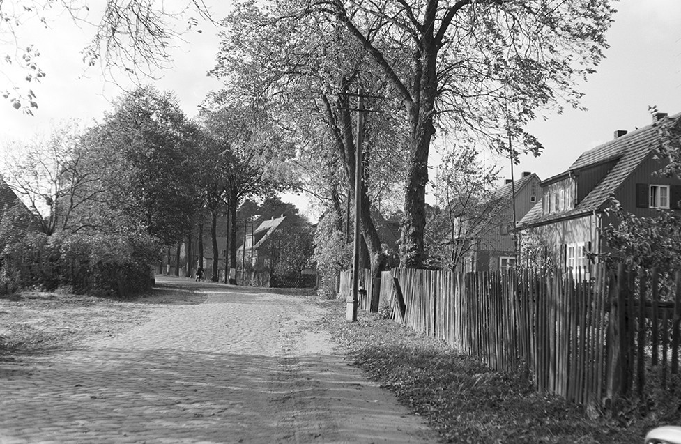 Sellendorf, Ortsansicht 1 (Heimatverein "Alter Krug" Zossen e.V. CC BY-NC-SA)