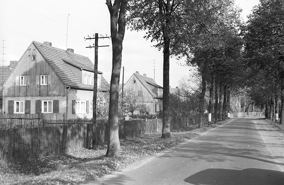 Sellendorf, Ortsansicht 2 (Heimatverein "Alter Krug" Zossen e.V. CC BY-NC-SA)
