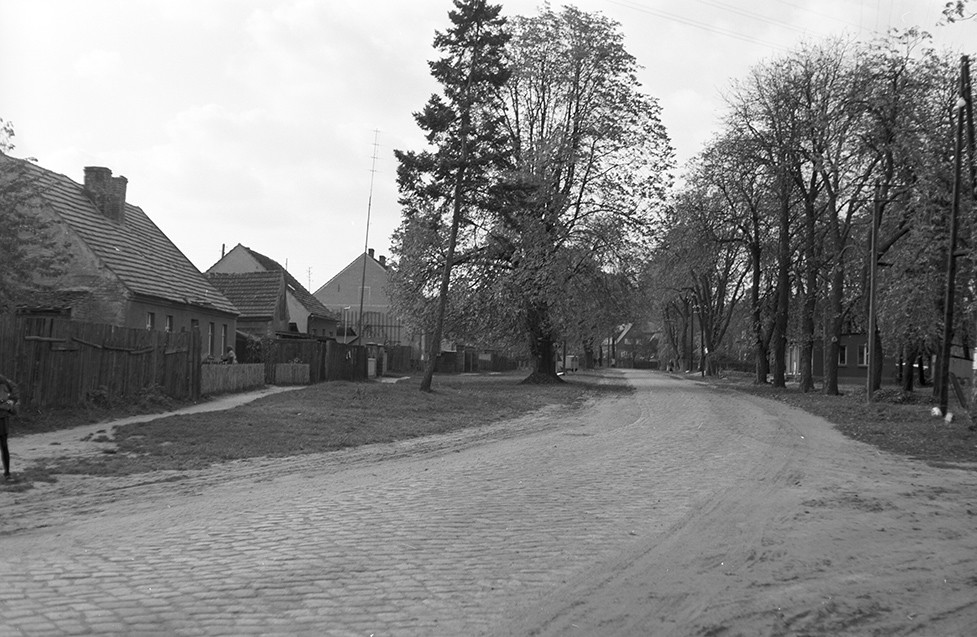 Sellendorf, Ortsansicht 5 (Heimatverein "Alter Krug" Zossen e.V. CC BY-NC-SA)