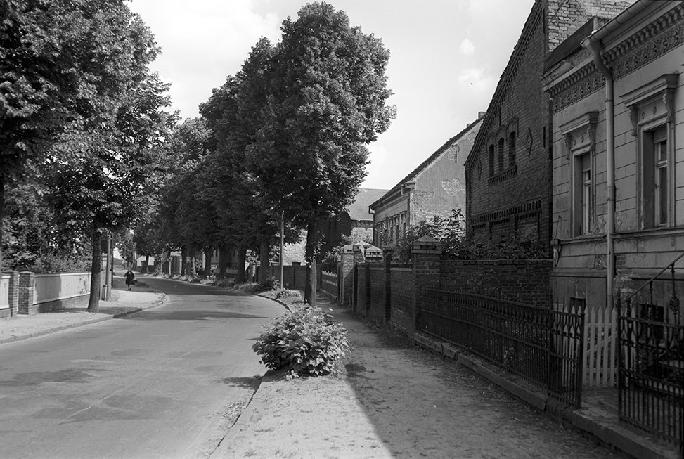 Selchow (Schönefeld), Ortsansicht 3 (Heimatverein "Alter Krug" Zossen e.V. CC BY-NC-SA)
