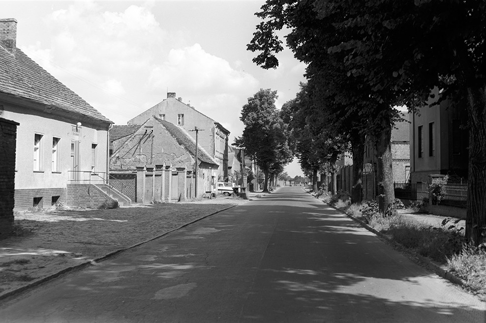 Selchow (Schönefeld), Ortsansicht 5 (Heimatverein "Alter Krug" Zossen e.V. CC BY-NC-SA)